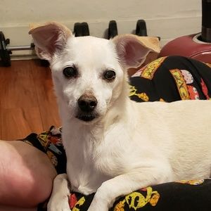 Meet your Posher, Magali